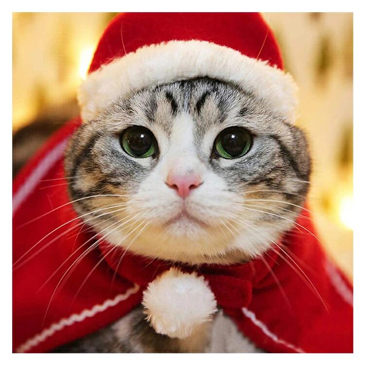 クリスマス 衣装 犬 猫 服 ペット服 サンタ トナカイ コスプレ ドッグウェア キャットウェア ねこ 犬の服 猫の洋服 冬 可愛い かわい –  サステナブルなECサイト | サステナモール
