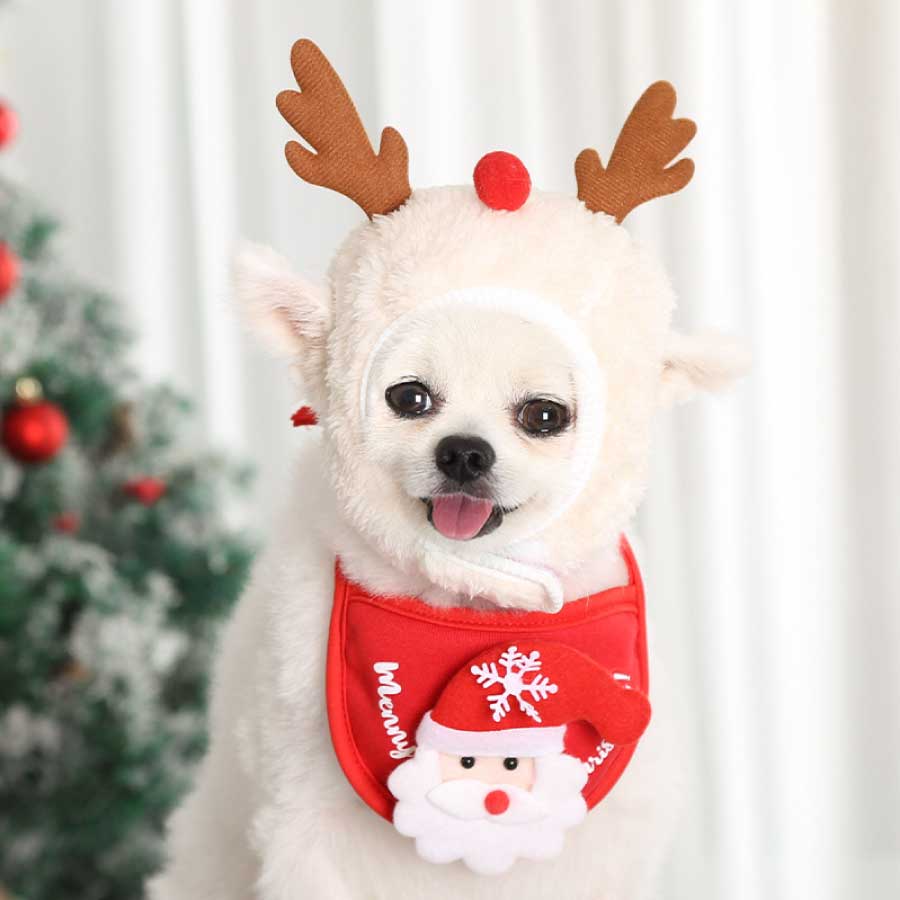 赤セット 犬猫用 わんちゃんのクリスマスコスプレ ペット服 小型犬 猫