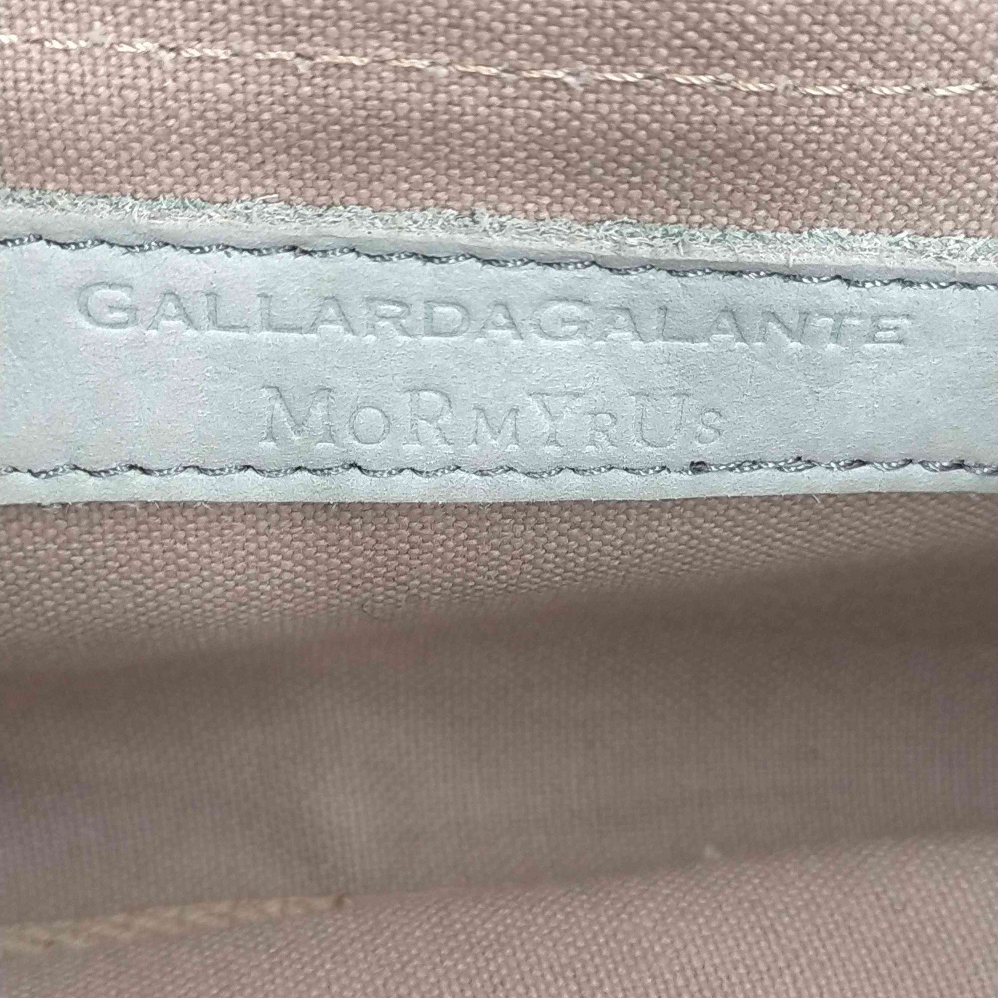 GALLARDAGALANTE(ガリャルダガランテ)ヌメ革 ハンドバッグ