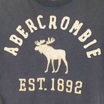 Abercrombie & Fitch(アバクロンビーアンドフィッチ)フロント刺繍 S/S Tシャツ