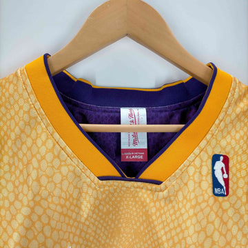 mitchell&ness(ミッチェルアンドネス)HOF NBA Reversible Jersey Purple/Gold