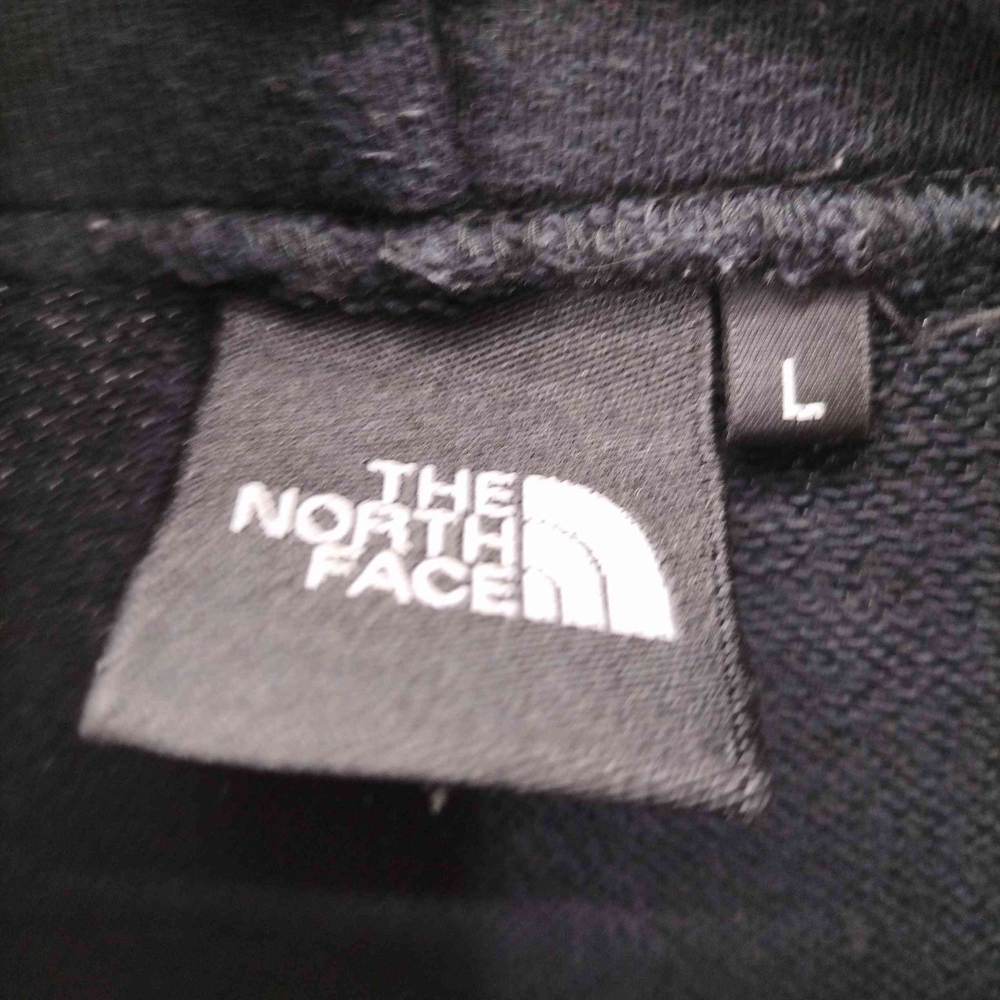 THE NORTH FACE(ザノースフェイス)ロゴプリント プルオーバー パーカー