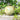 ディテール DETAIL INC. マーブルアップル ラージ Marble Apple Large　ユニセックス apple-large　小物　雑貨 ギフト　オブジェ　ペーパーウェイト　リンゴ　アップルマーブルストーン
