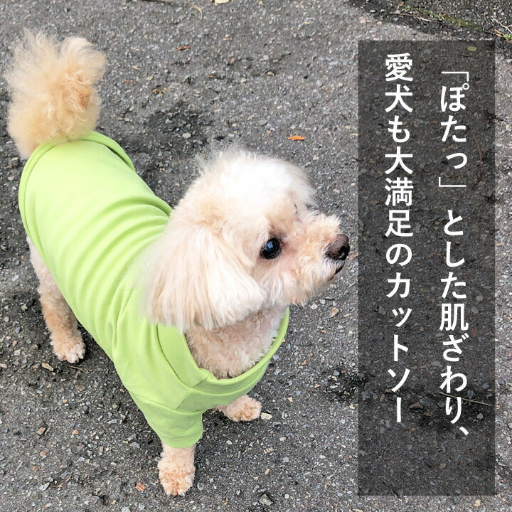 https://image.rakuten.co.jp/k-city/cabinet/dog06/md311231_1.jpg