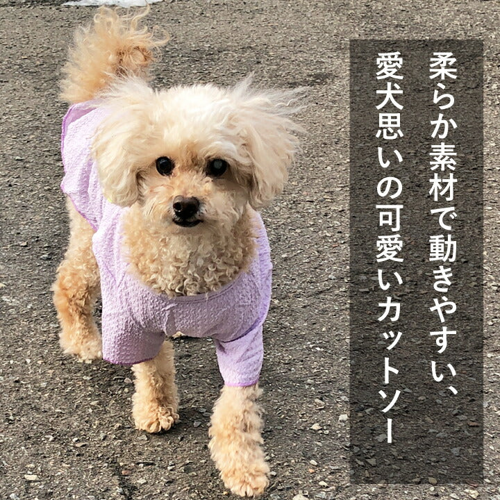 https://image.rakuten.co.jp/k-city/cabinet/dog06/md402071_1.jpg