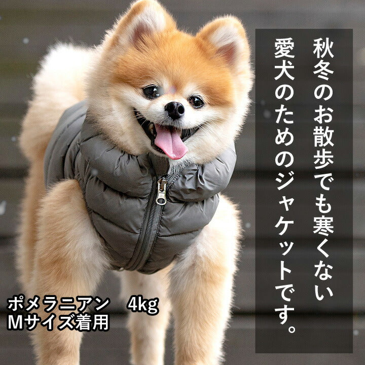 https://image.rakuten.co.jp/k-city/cabinet/dog05/mdjm1670_1.jpg