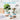 円柱 丸型 3個セット 虹色 植木鉢 多肉鉢 飾り 陶器製 ミニ植物 多肉植物 観葉植物 サボテン フラワーポット ガーデニング おしゃれ 北欧風 事務室 ベランダ 装飾 母の日 プレゼント ギフト