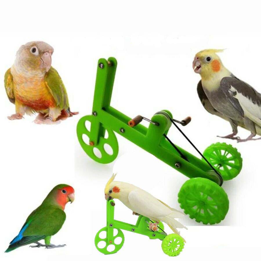 三輪車 小鳥 インコ オウム 自転車 しつけ 訓練 学習 遊び ストレス解消 運動