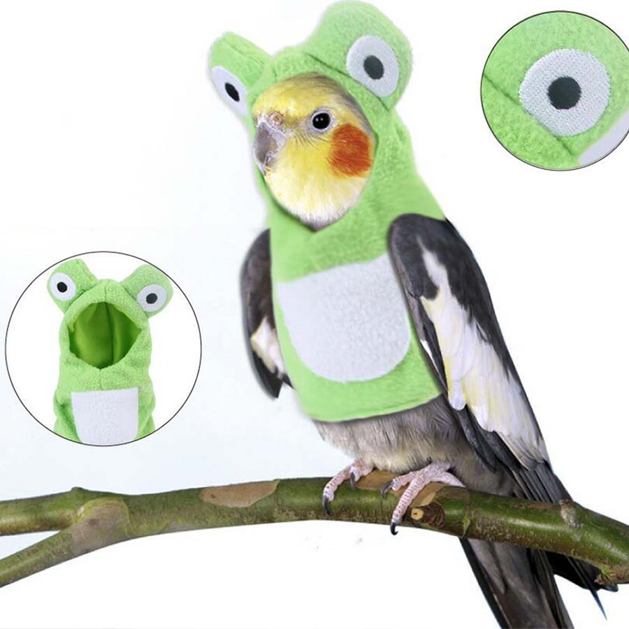 鳥 おもちゃ 小鳥 インコ オウム コスプレ カエル 服 プレゼント メール便