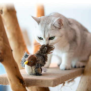 猫 おもちゃ 鳥 鳴く 運動不足 ストレス発散 鳴き声 猫用おもちゃ リアル 遊ぶ 運動不足解消 ネコ