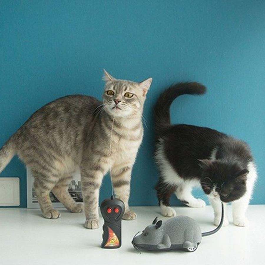 猫おもちゃ 3種セット 電動ネズミ リモコンネズミ またたび入りぬいぐるみ マタタビ入りぬいぐるみ LEDポインター 光るおもちゃ 運動不足