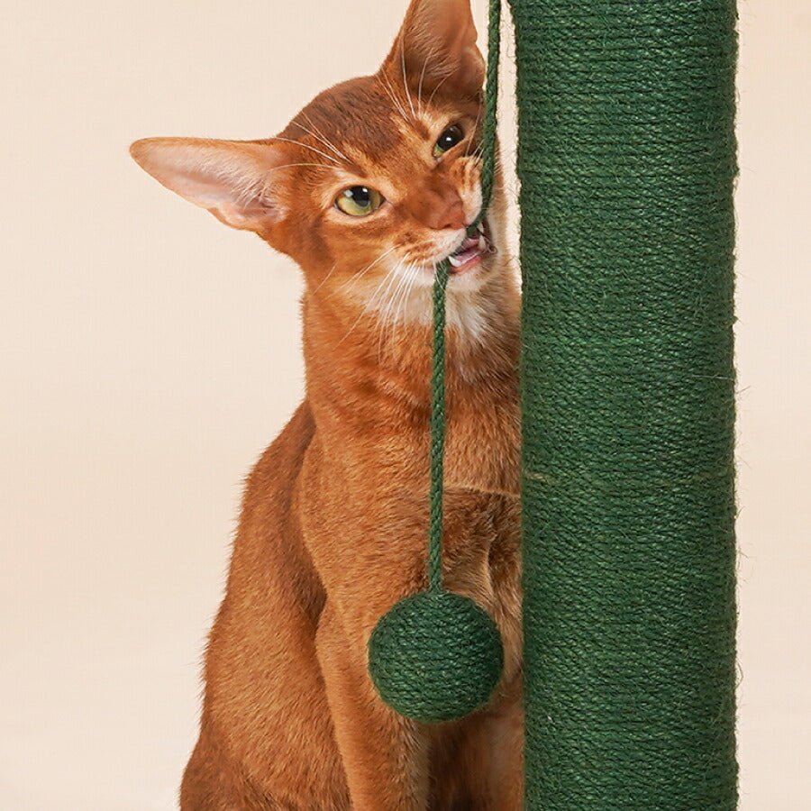 可愛い猫用爪とぎタワーサボテンキャットタワーさぼてんインテリア爪とぎポールストレス解消送料無料