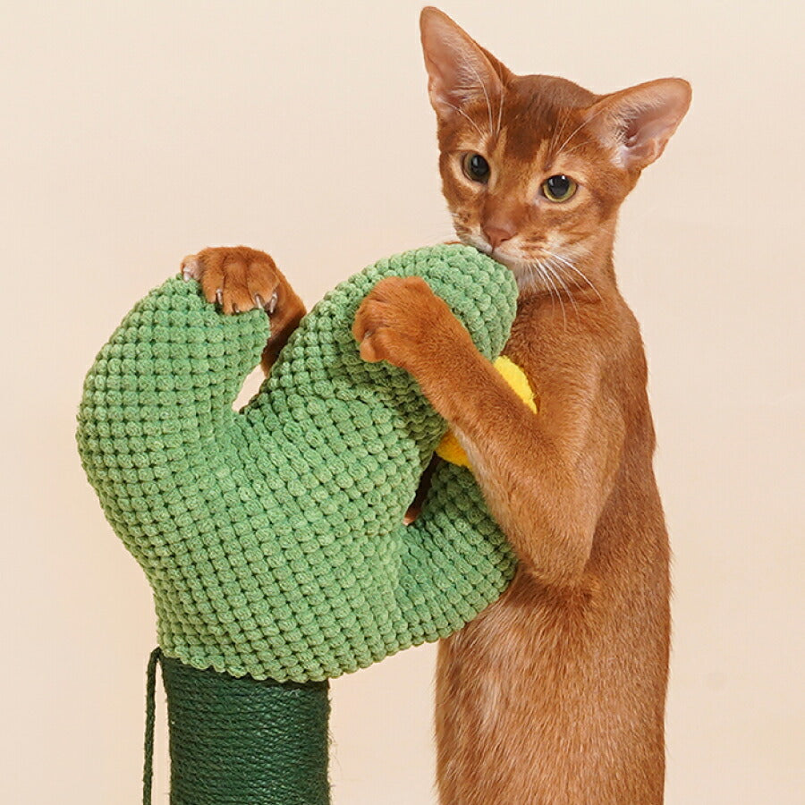 可愛い猫用爪とぎタワーサボテンキャットタワーさぼてんインテリア爪とぎポールストレス解消送料無料