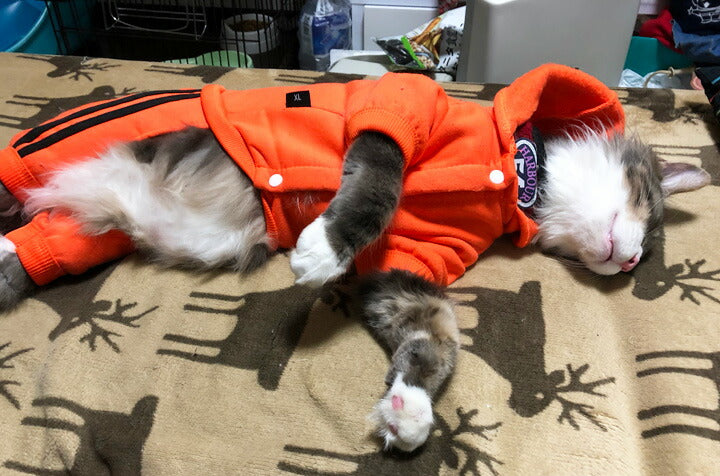 猫服猫服ネコねこUSA犬の服つなぎロンパースオーバーオールキャットウェア【送料無料】