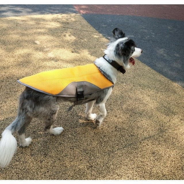 犬用 クールベスト COOLベスト 犬の服 冷感 冷却 お散歩用 熱中症対策グッズ 程よいひんやり感 涼しい Panni