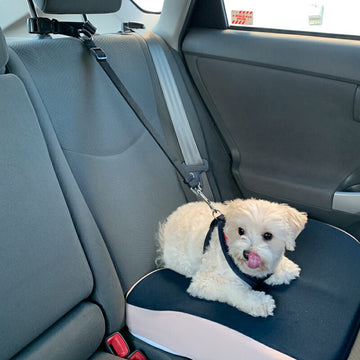 犬服  PETFiND 犬用品 ヘッドレスト装着型リード ペット用 シートベルト 車用リード 安全ベルト 引っ張り飛び出し防止 ドライブ 小型犬 中型犬 新着