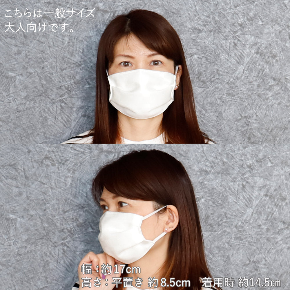 洗えるマスク絹マスク大きめマスク１枚入ＵＶカット抗菌不織布フィルター入通勤吸湿送料無料メール便２ポイント